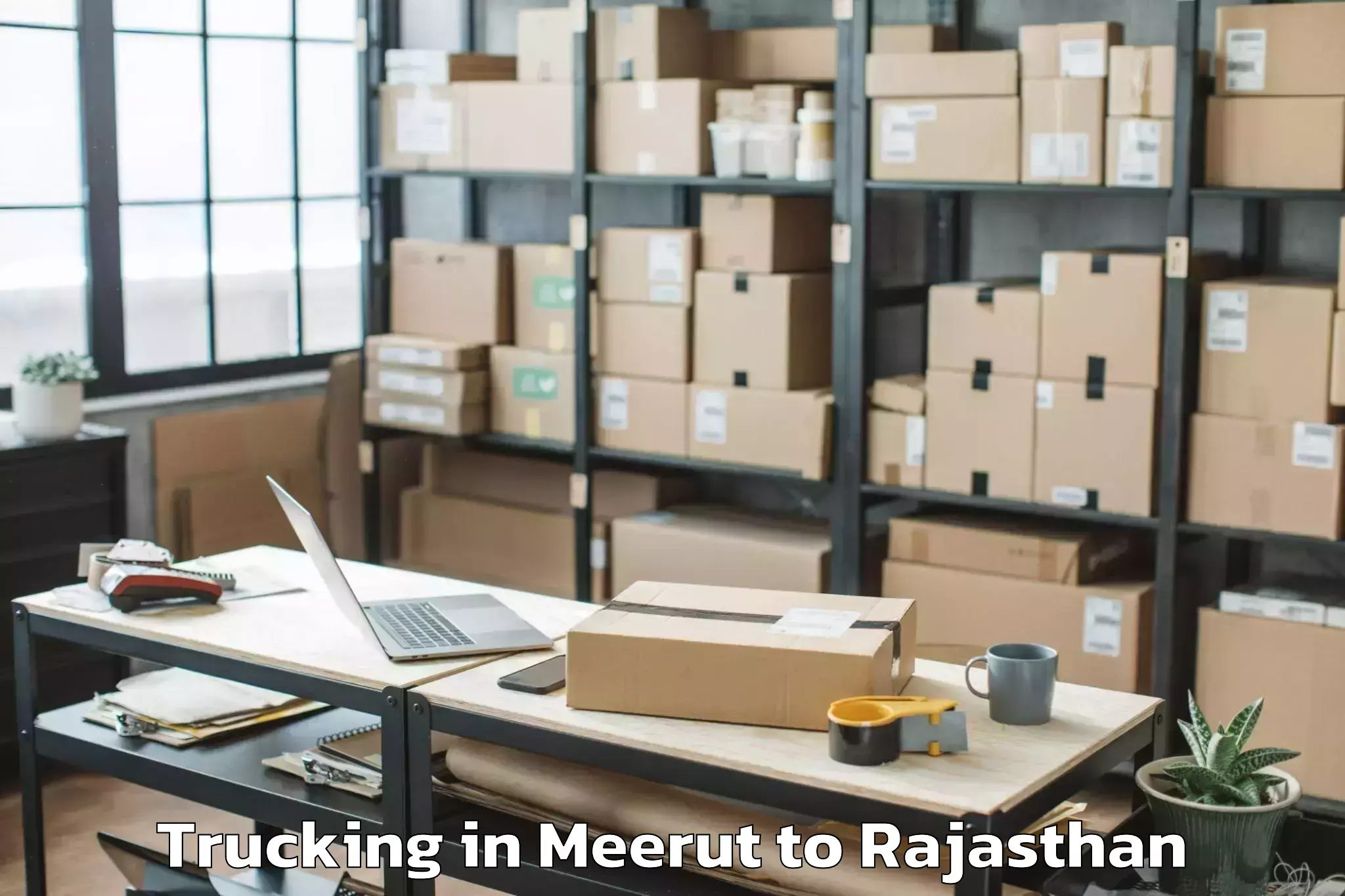 Efficient Meerut to Nadoti Trucking